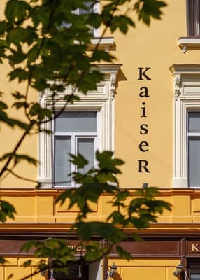 Кайзер во Львове 2