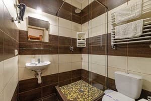 Отель Кайзер во Львове. Делюкс 4-местный с мини кухней 13