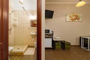Отель Кайзер во Львове. Улучшенный 4-местный с кроватью размера  king-size и мини кухней 16