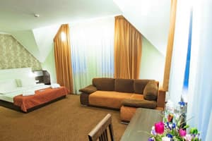 Отель Киев 365. Люкс двухместный  3