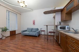 Квартира Kiev Accommodation Hotel Service. Стандарт двухместный Двухкомнатная Супер ул.Михайловская,16а 8