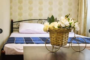 Хостел Koleso. Стандарт двухместный с одной кроватью 1