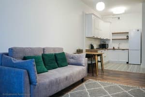 Апарт-отель Kostjukowski Apartments Forum. Улучшенный трехместный ФМ(2+1) 8