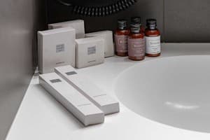 Отель LEV Lifestyle Hotel - Maestro. Полулюкс двухместный  5