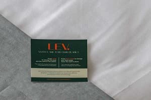 Отель LEV Lifestyle Hotel - Maestro. Полулюкс двухместный  6