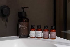 Отель LEV Lifestyle Hotel - Maestro. Стандарт двухместный  4