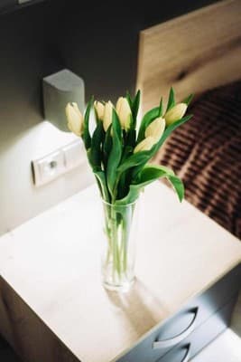 LOFT de luxe apartments 17