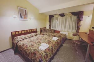 Отель Леотель. Бизнес двухместный -Стандарт 9