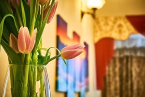 Отель Леотель. Люкс двухместный VIP 10