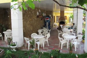 Лев 8