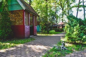 Лісова Перлина 2