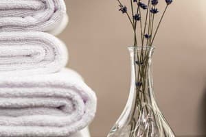 Отель Loft7. Люкс двухместный  10