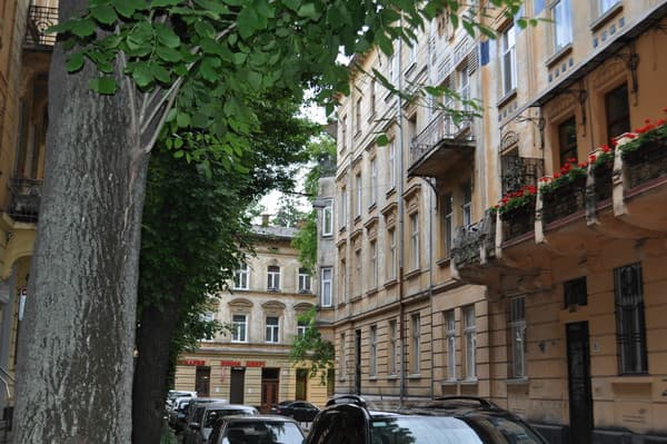 Lux по ул.Богомольца,11а 10