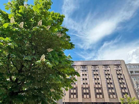 MAIDAN PALACE HOTEL 22