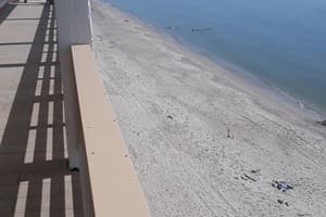 Отель Мальта. Люкс 4-местный 1 этаж 11