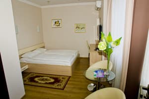 Отель Меркурий. Стандарт двухместный дабл 5