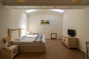 Апарт-отель Metro Hotel Apartments. Апартаменты двухместный мансарда 2