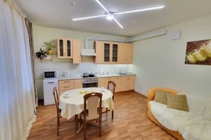 Апарт-отель Михаила Гришко, 9. Апартаменты двухместный 100 7