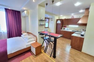 Апарт-отель Михаила Гришко, 9. Апартаменты двухместный 118 (3+1) 1