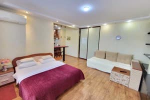 Апарт-отель Михаила Гришко, 9. Апартаменты двухместный 118 (3+1) 3