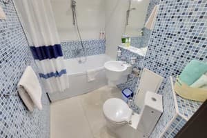 Апарт-отель Михаила Гришко, 9. Апартаменты двухместный 118 (3+1) 7