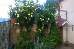 Многоборец 17