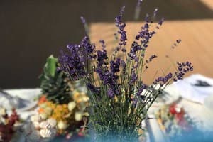 Отель Морской. Люкс двухместный с террасой (+2) 11