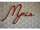 Мрія 5