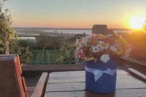 На Морской 5