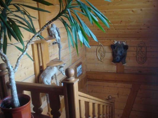 Наша оселя 9