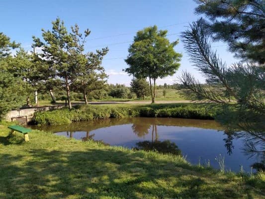 Наша оселя 11