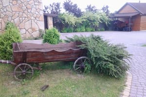 Наша оселя 2