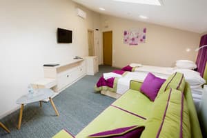 Отель Наталия 18. Стандарт двухместный (мансарда) 3