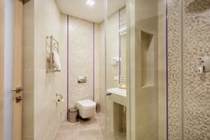 Отель Наталия 18. Стандарт двухместный (мансарда) 4