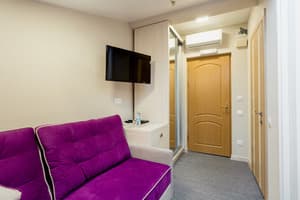 Отель Наталия 18. Стандарт двухместный (мансарда) 6