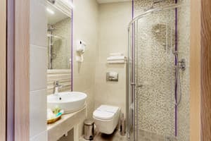 Отель Наталия 18. Стандарт двухместный (мансарда) 7