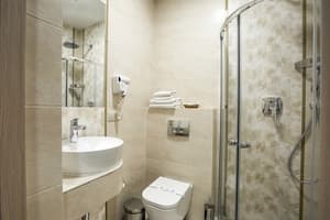 Отель Наталия 18. Стандарт двухместный (мансарда) 11