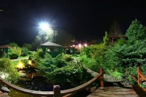 Навария Нова (Navaria Nova) 15