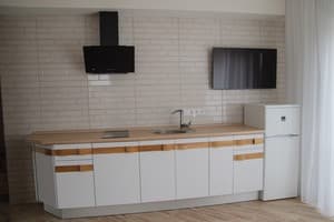 Мини-отель Oasis family apartments. Апартаменты 4-местный семейный 2-комнатный номер Студио 2