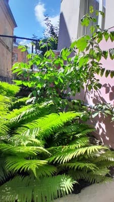 Однокомнатная ул.Городоцкая 53 4