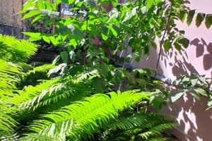 Однокомнатная ул.Городоцкая 53 4