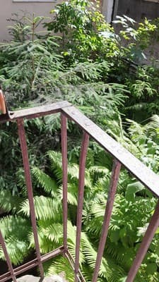 Однокомнатная ул.Городоцкая 53 15