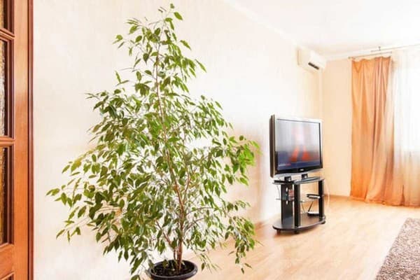 Однокомнатная, ул. Княжий Затон, 21 2