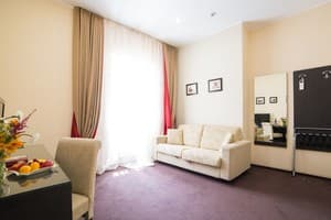 Отель Optima Дворжец Львов. Люкс двухместный  1