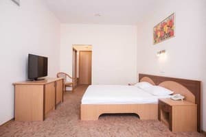 Отель Optima Одесса. Стандарт двухместный Double 1