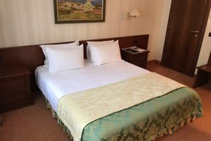 Отель Отрада. Стандарт двухместный Цокольный этаж 2