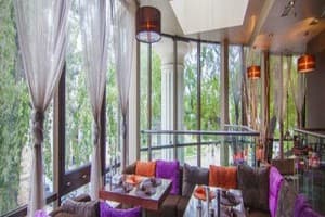 Палладиум 29