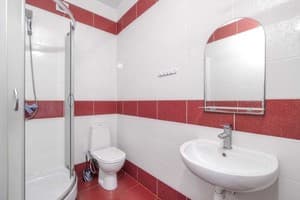 Отель Пальмира. Полулюкс 4-местный  5