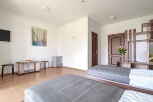 Отель Пальмира. Стандарт двухместный  4