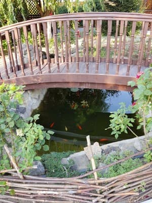 Пампушка & Подушка 12